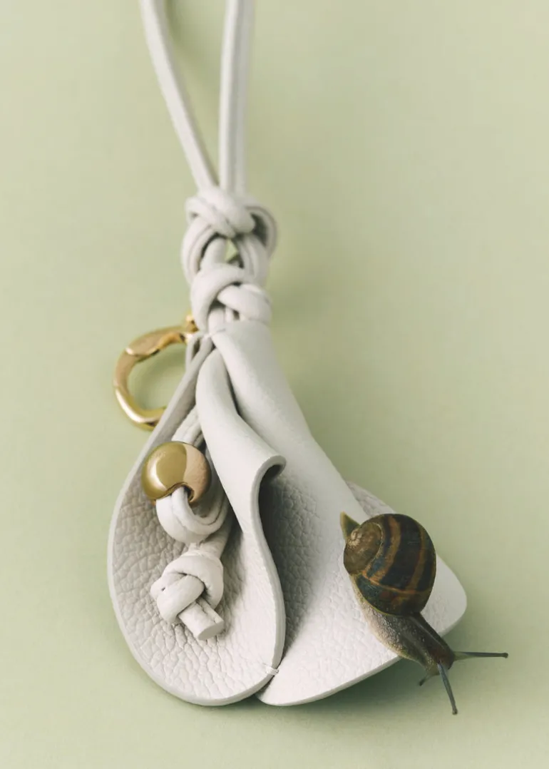 Charm Pili