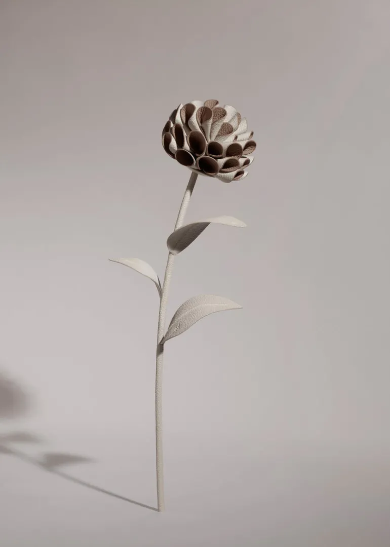 Dalium Flower