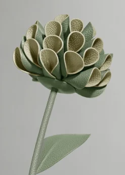 Dalium Flower