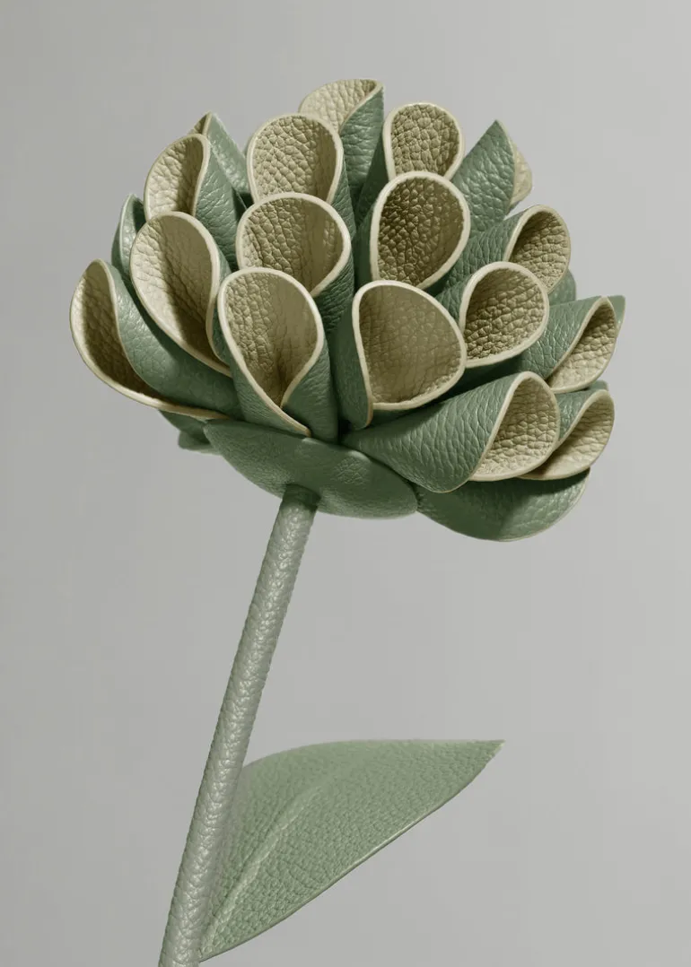 Dalium Flower