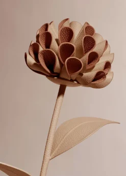Dalium Flower