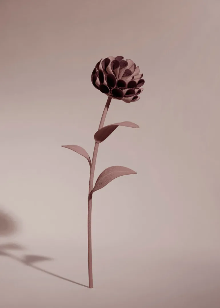 Dalium Flower