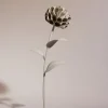 Dalium Flower