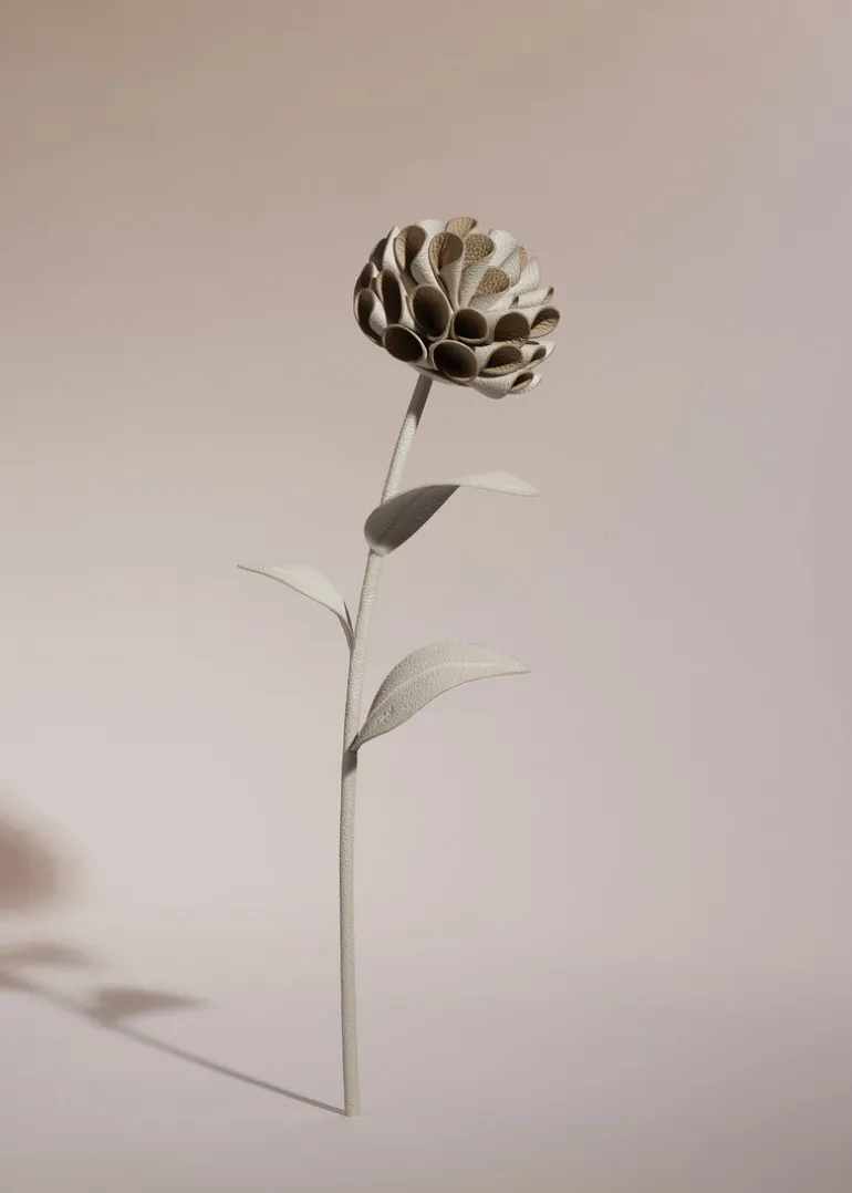 Dalium Flower