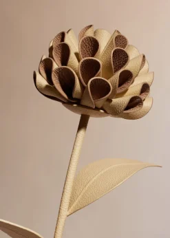 Dalium Flower