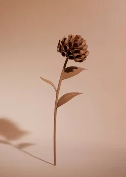 Dalium Flower
