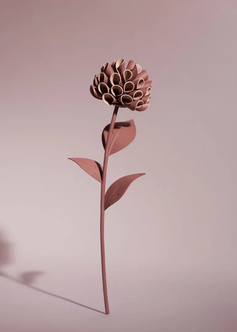 Dalium Flower