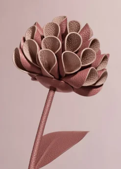Dalium Flower