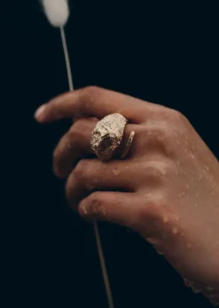 Eroz Ring
