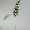 Orki Flower