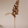 Orki Flower