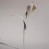 Pili Flower
