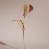 Pili Flower