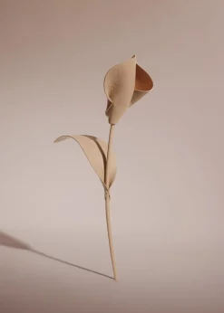 Pili Flower