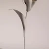 Pili Flower