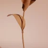 Pili Flower