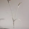 Touka Flower