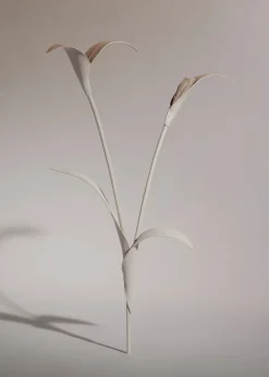 Touka Flower