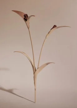Touka Flower