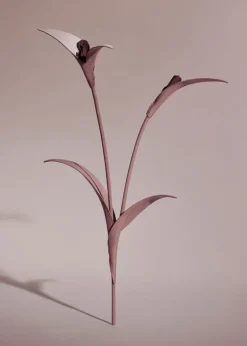 Touka Flower