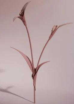 Touka Flower
