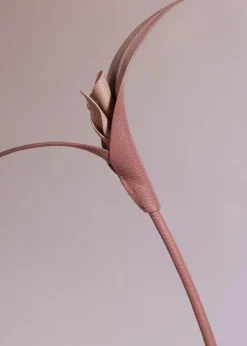 Touka Flower