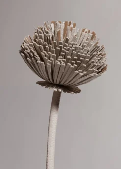 Tul Flower