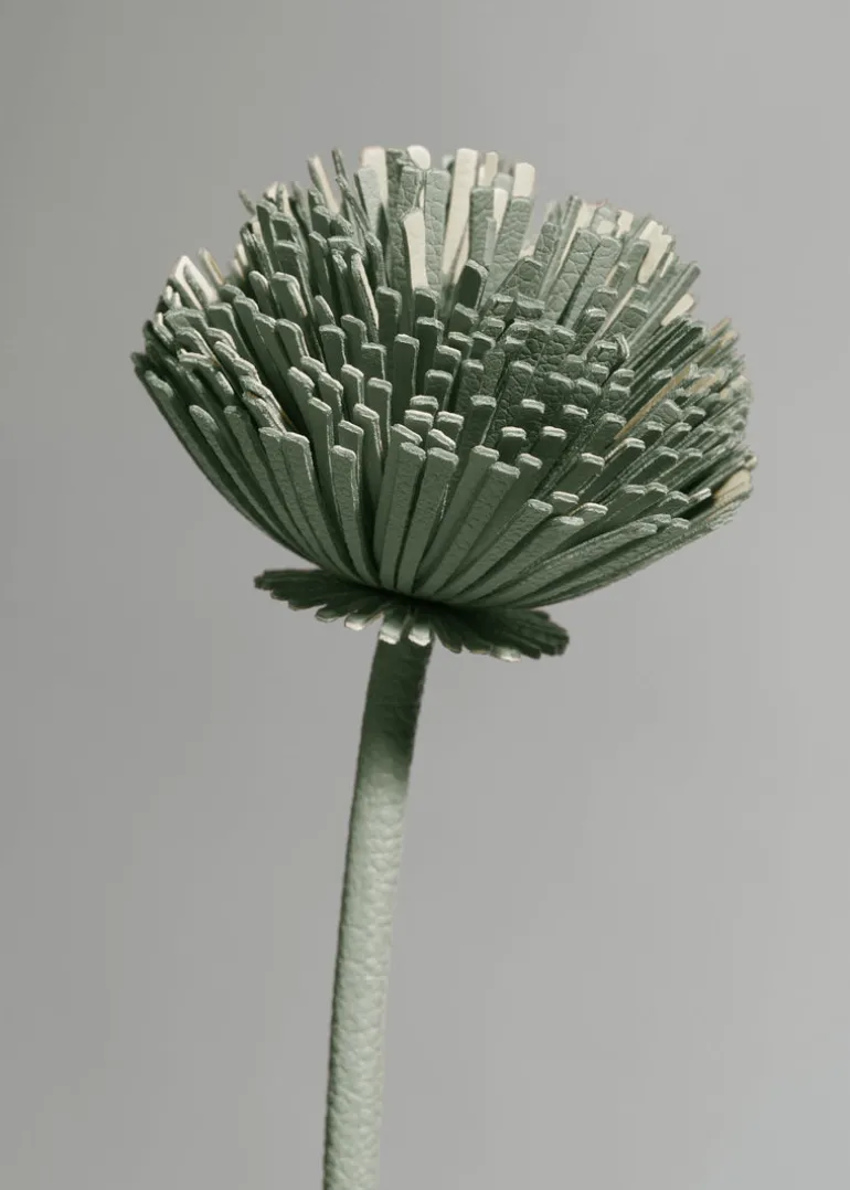 Tul Flower