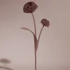 Tul Flower