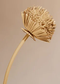 Tul Flower