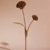 Tul Flower