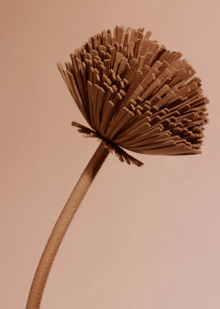 Tul Flower