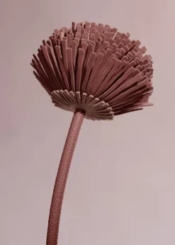 Tul Flower